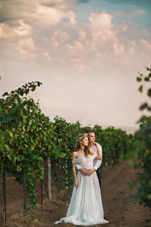 Виноградники на юге России