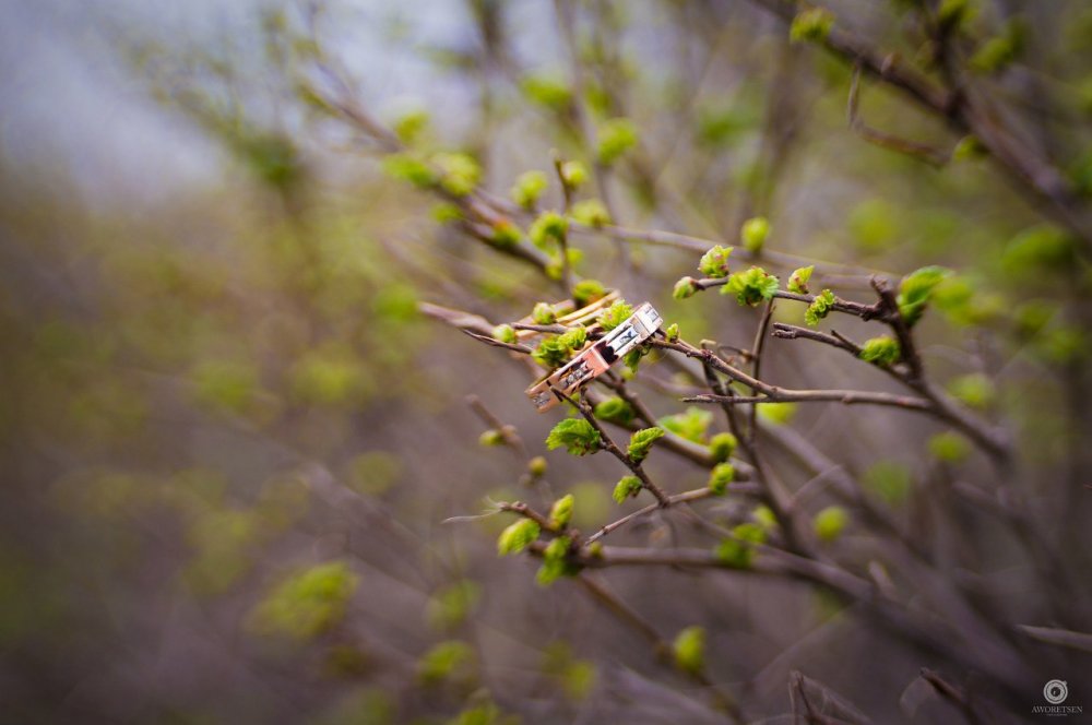 расцветающая весна. Юля и Вова. нежность
Волгоград