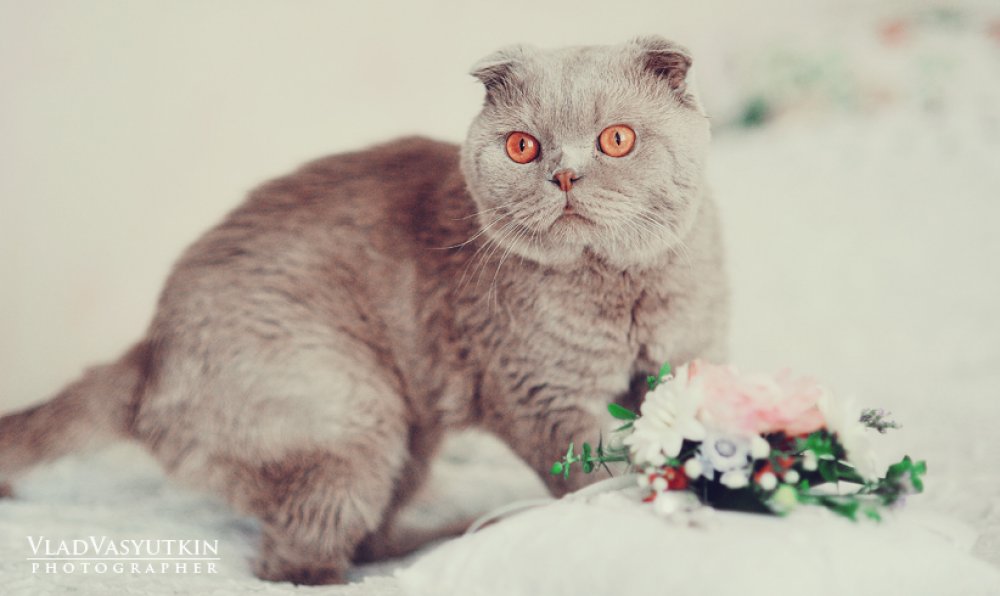 фотограф Влад Васюткин
http://vkontakte.ru/club11126050
www.photo63.su