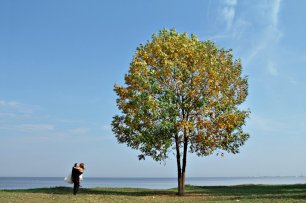 Свадебная прогулка