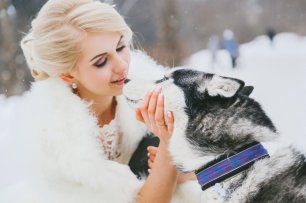 Фотосессия невесты с хаски