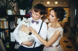 Домашние любимцы