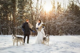 Зимняя прогулка с хаски