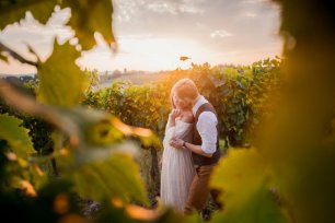 Чудесное утро в винограднике