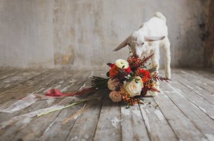 Красный букет невесты и милый гость