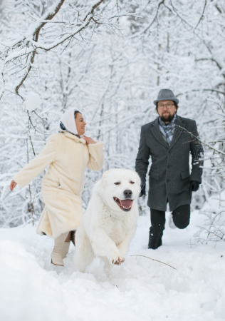 фотосессия love story с собакой, фотограф ГРАЧЕВ СЕРГЕЙ