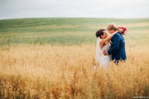 Золотое поле