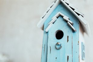 Скворечник на свадьбу