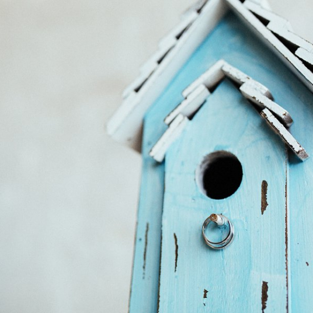 Цвет свадьбы: 10 модных оттенков для весны 2016