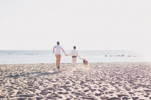 Прогулка по пляжу с питомцем