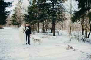 Зимняя прогулка