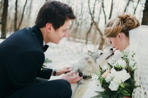 Зимняя прогулка