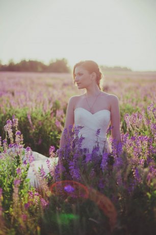 Прогулка по полю