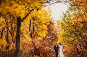 Осенняя пора