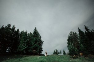 Натуральный зеленый фон свадебной фотосессии