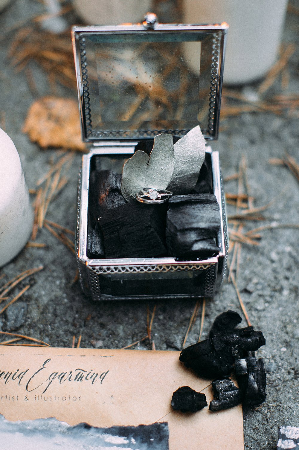 Зимняя свадебная фотосессия с совами.