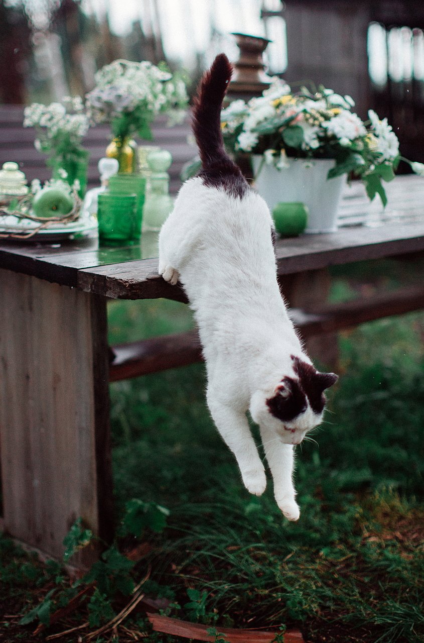 Свадьба в стиле Кантри
Сергей Шульга
фотограф
Нижний Тагил