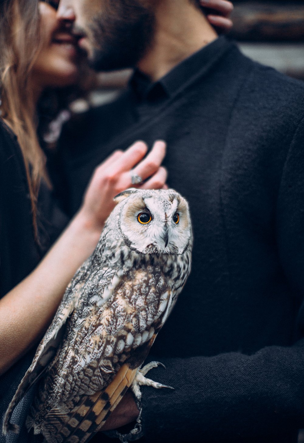 Зимняя свадебная фотосессия с совами.