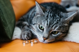 Макросъемка колечек