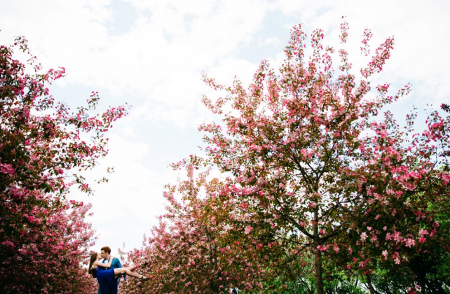 фотосессия love story в цветущем саду, фотограф АННА МИРОНОВА