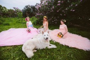 Трио принцесс