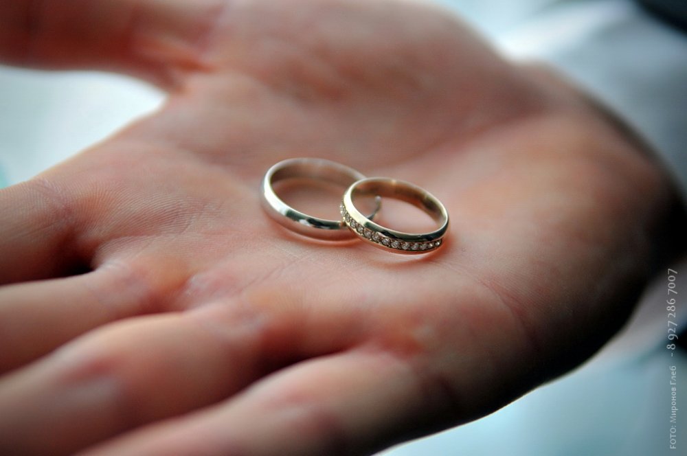 Ваш Фотограф - 8 927 286 7007
http://vk.com/mironovgleb