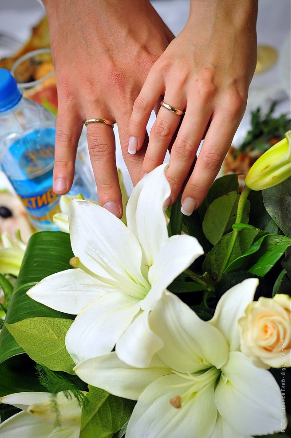 Ваш Фотограф - 8 927 286 7007
http://vk.com/mironovgleb