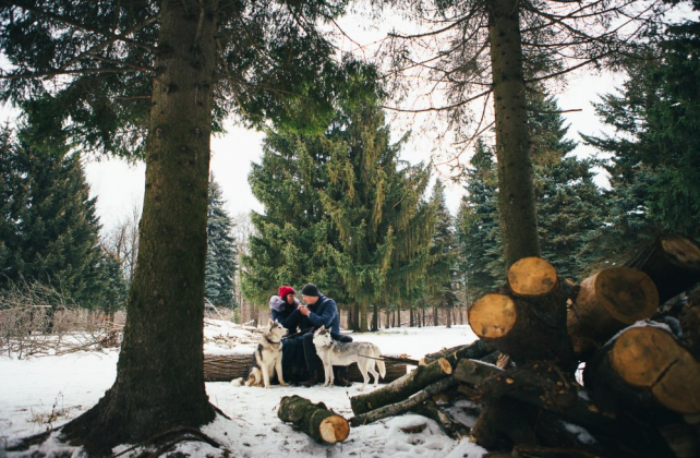 фотосессия love story с собаками, фотограф ЗАХАРОВА ЮЛИЯ