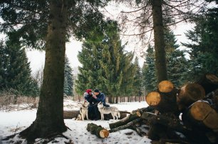 Воскресная прогулка по лесу с хаски