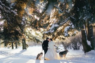 Замечательный январский денек