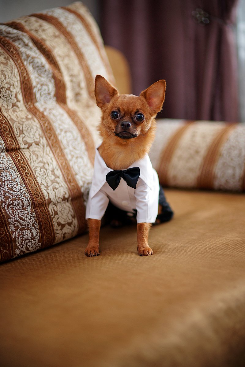 Алина и Владимир. Краснодар. 21.06.2015г.