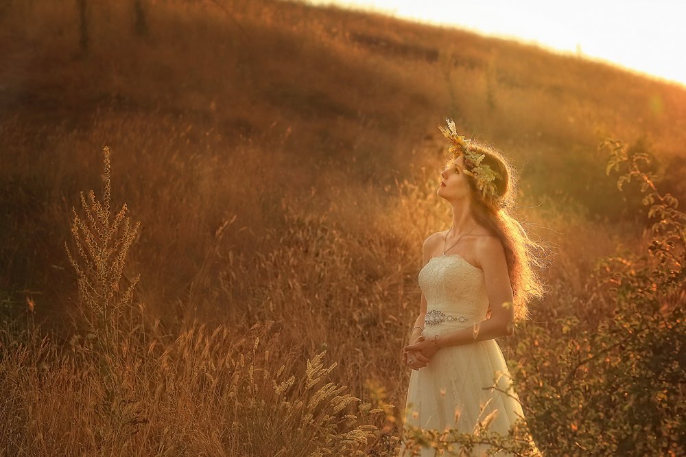 красивый свет