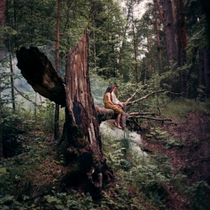 Потерявшиеся в сказочном лесу