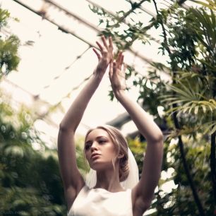 Принцесса-лебедь