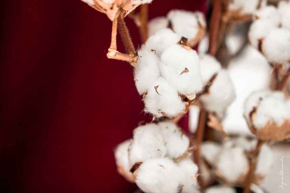 Фотограф - Дарья Шмакова
Место съемки - HOLIDAYPARK
Макияж и прическа - Юлия Искибаева 
Флористика и декор - Букет - Декор 
Аксессуары - Эльвира Вильданова 
Невеста - Марина Бузанова
Модельное агенство - MDmodel
Жених - Артемий Булатов