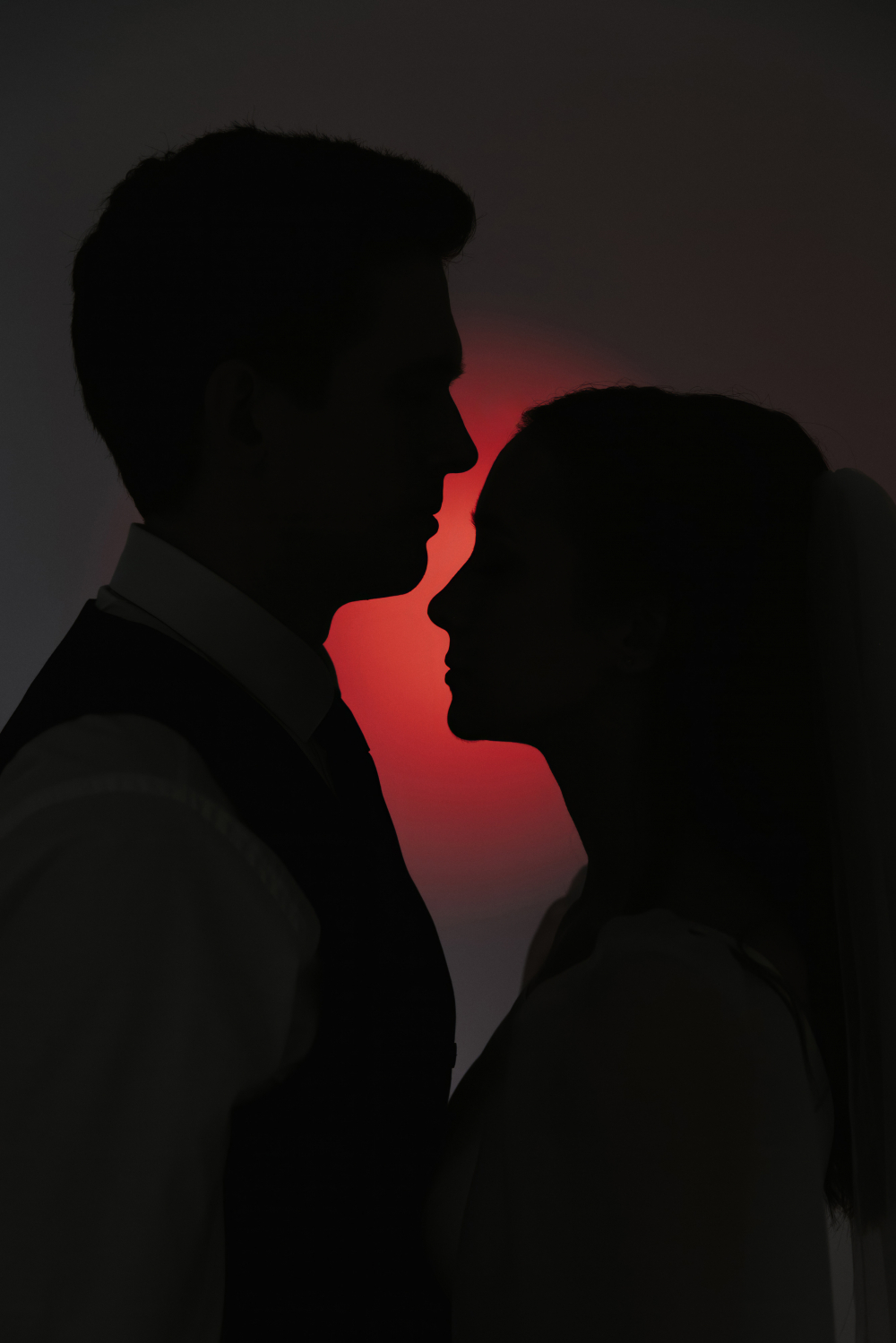 Молодожены, силуэт