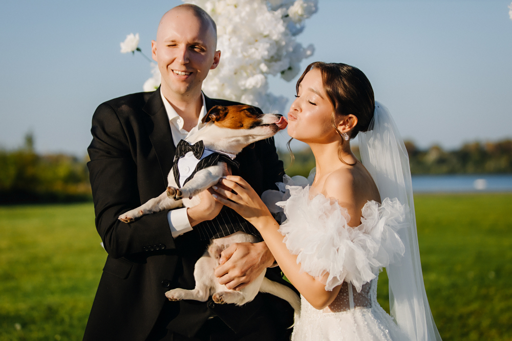 Первые поздравления