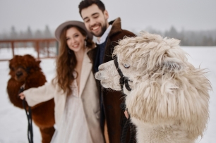 Свадебная фотосессия