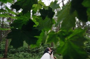 Листья. Свадебная прогулка