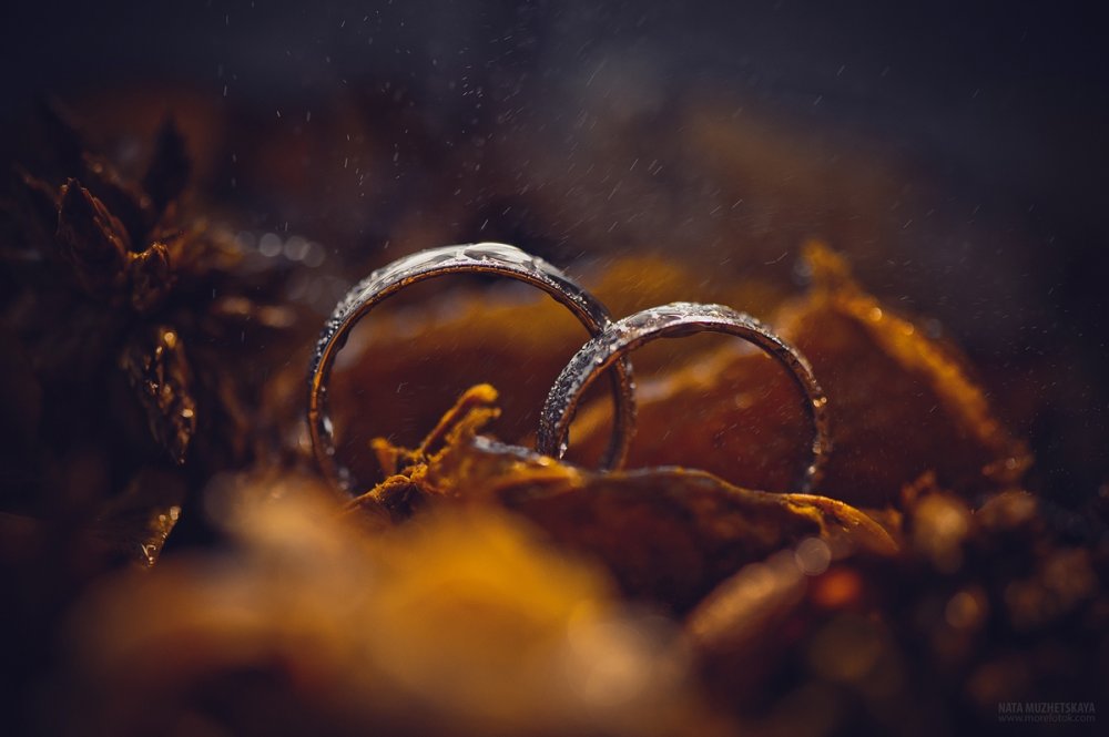 Фото Мужецкая Наталия www.morefotok.com