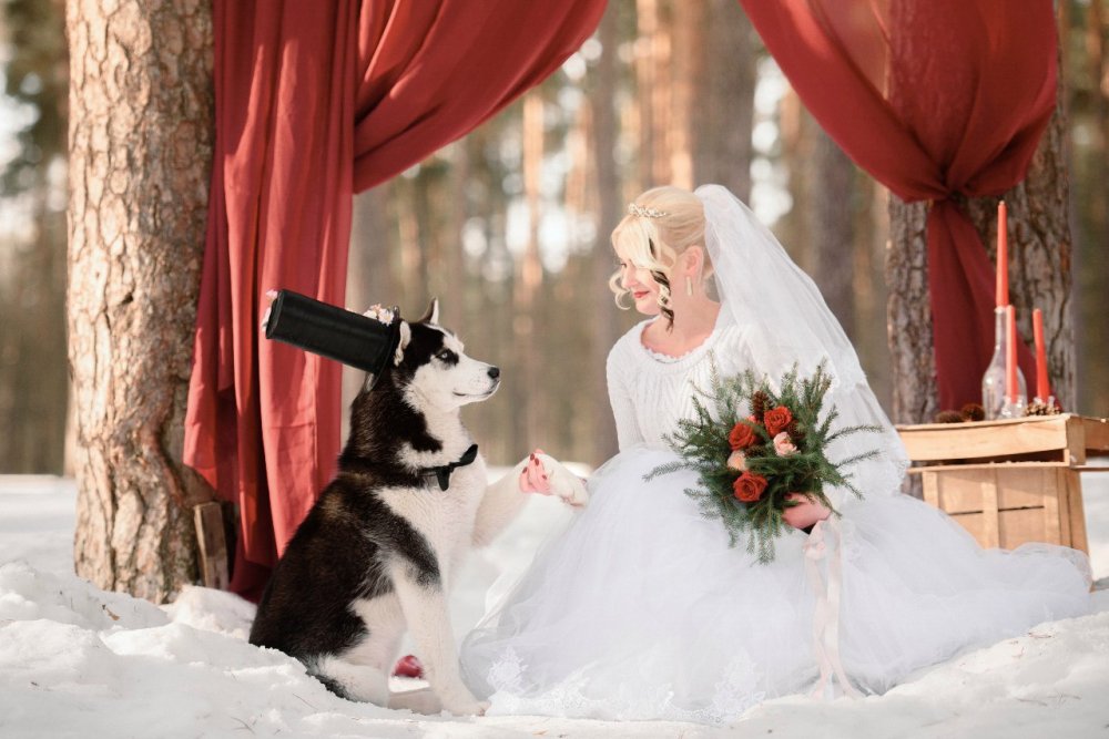 wedding 2016| Фотограф Ангелина Нусина 
Больше фотографий на сайте 
http://www.nusinaphoto.com/#!any-and-haski/x8byc