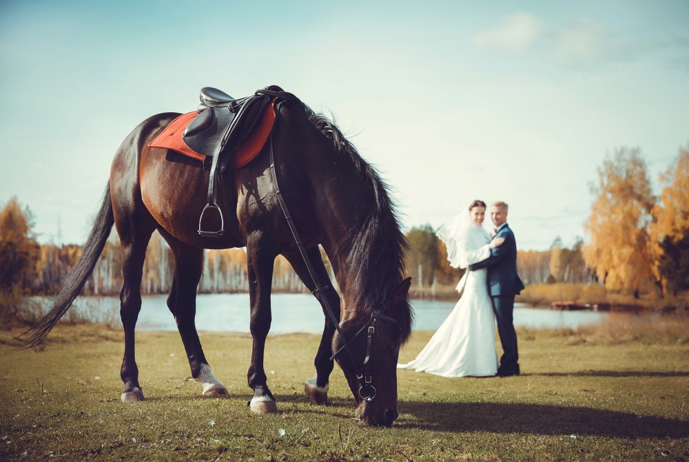 
Свадьба.Свадебный фотограф Нижний Тагил.
Свадебная фотосъемка Нижний Тагил.
Демидовская дача.Природа.