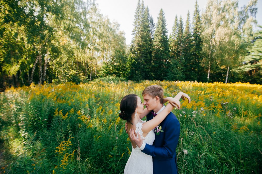 фотосессия в цветущем поле