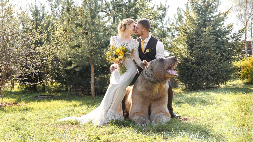 Описание фотографии