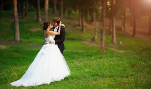 В красивом лесу на опушке