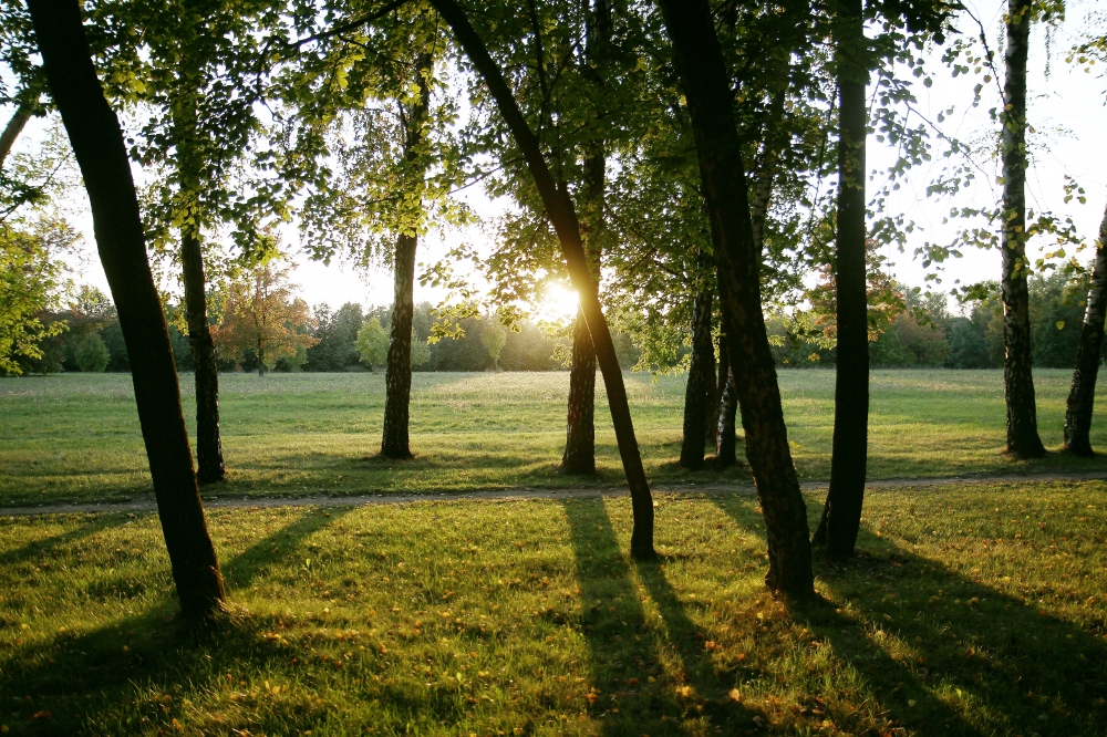 Оксана и Миша