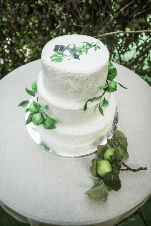 Торт на свадьбе Даши и Вовы