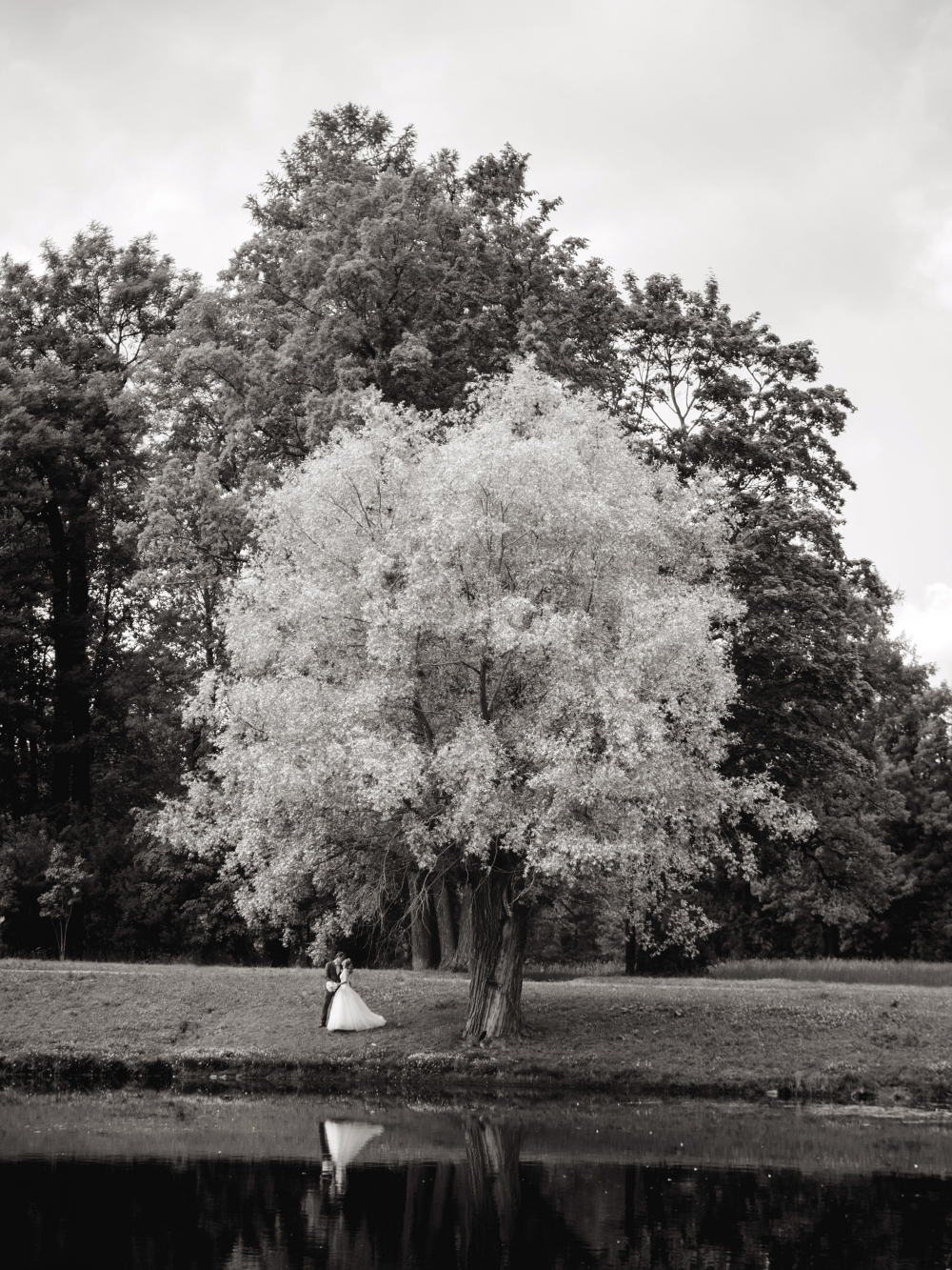 #photo_shapor_rodion

shapor.ru
