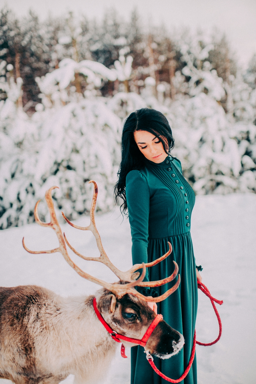 Зимняя свадьба. Зима. Невеста в шубе. Шубка. Декор. Свадебный декор. Стол. Тюльпаны. Спил. Деревянный спил. Хвоя. Ель. Зимняя невеста. Олень. Олень на фотосессии. 