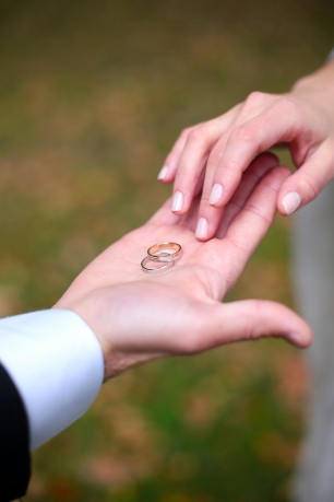 Нежность прикосновений